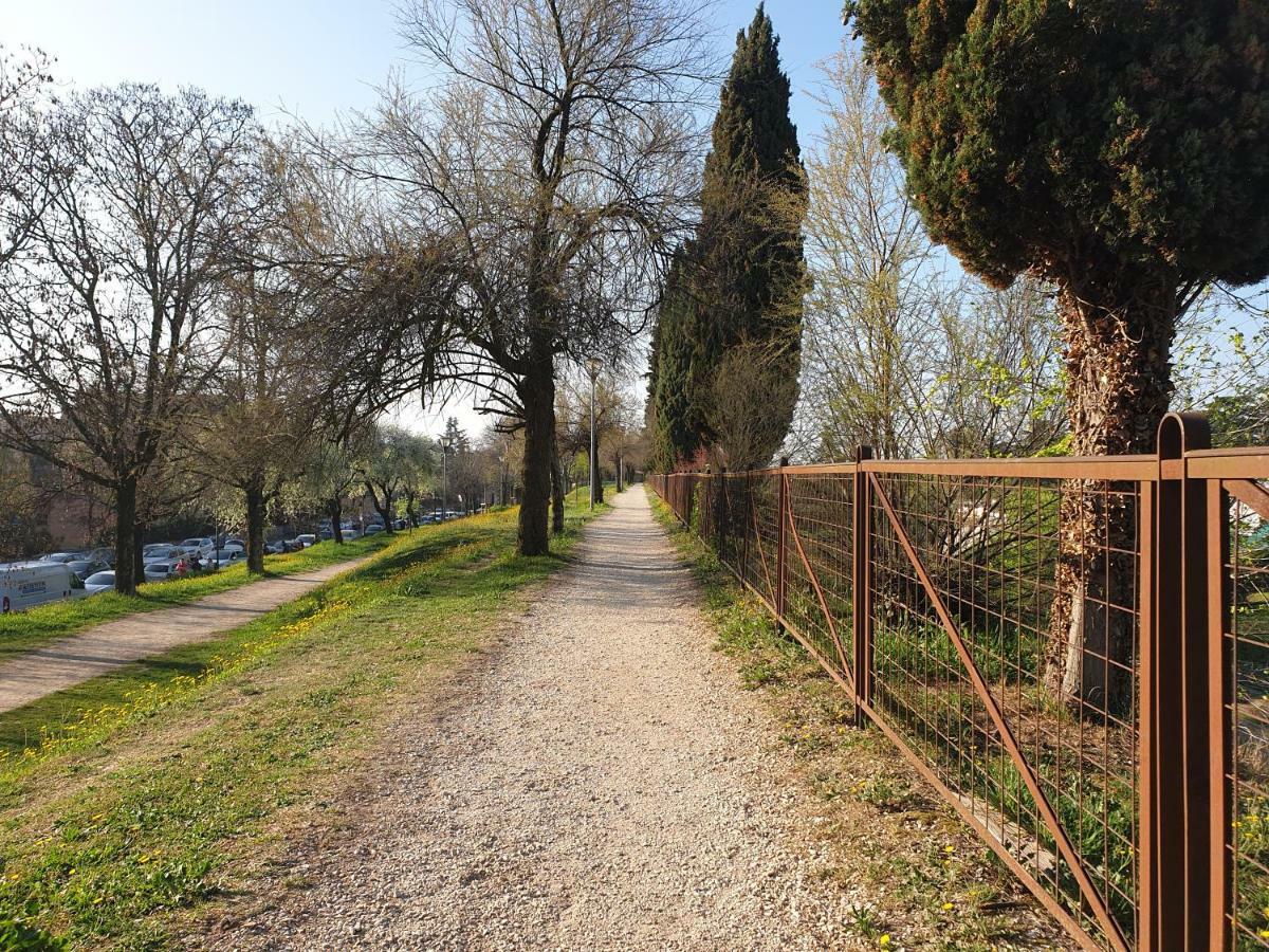 Divina San Zeno Apartman Verona Kültér fotó