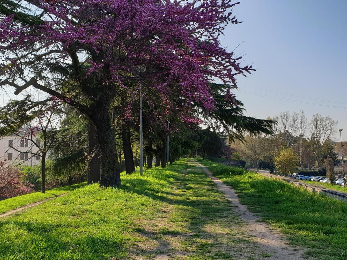 Divina San Zeno Apartman Verona Kültér fotó
